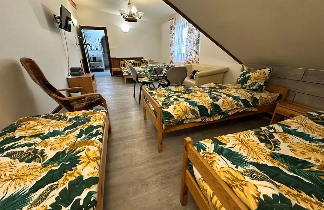Guest House Villa Arkadia-1